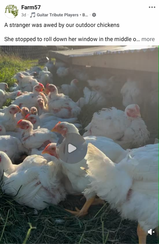 Watch Farm 57 on Facebook