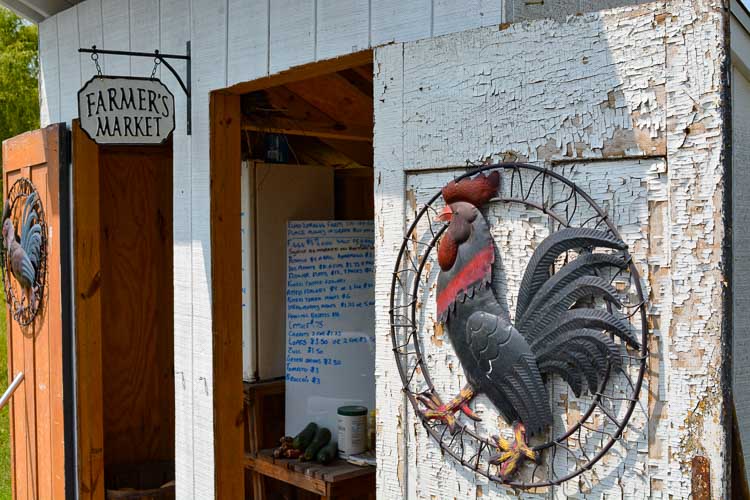 farm stand with farm fresh eggs