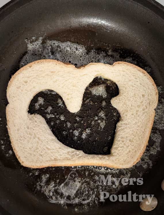 squirrel shaped cutout on bread