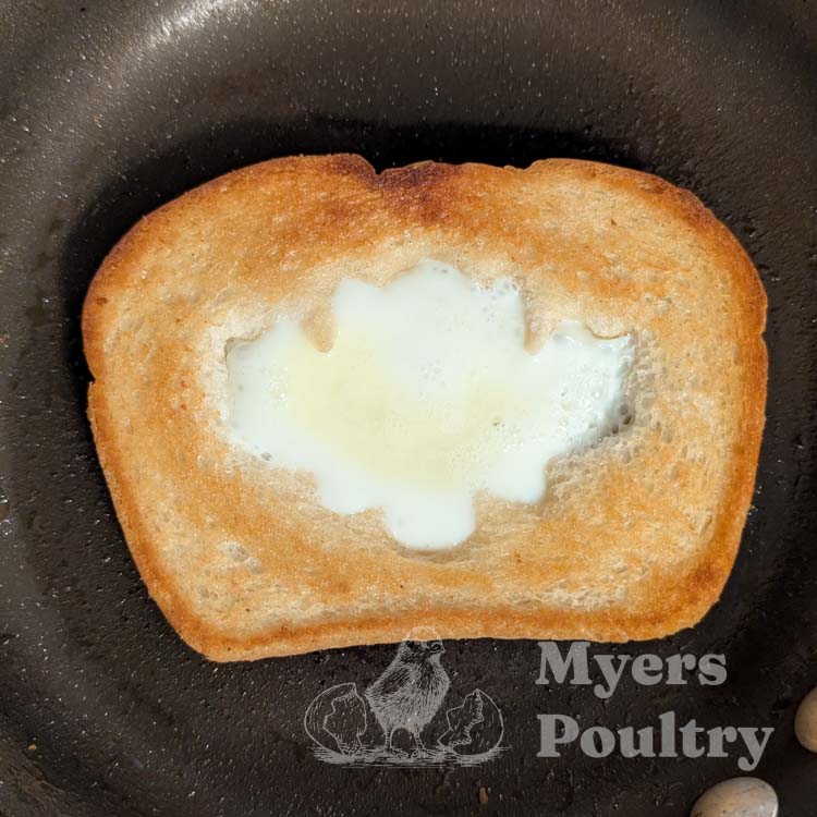 fall themed toast on stove