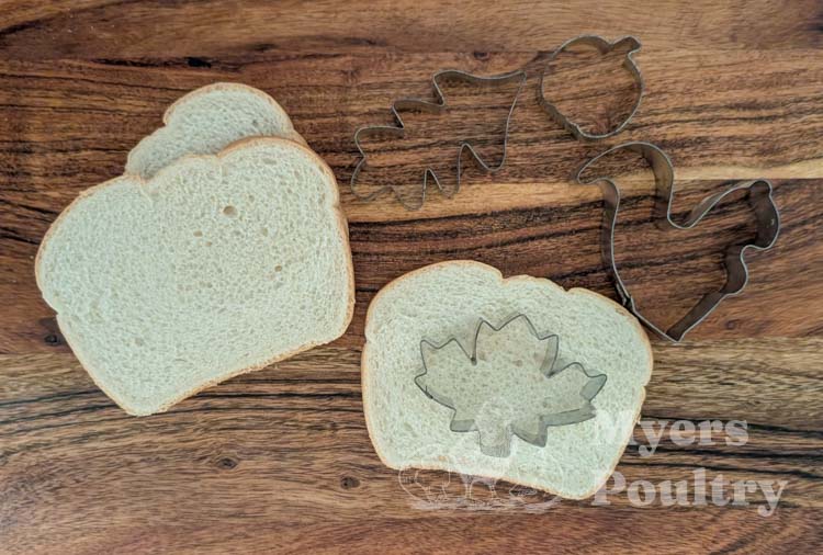 cookie cutters and bread