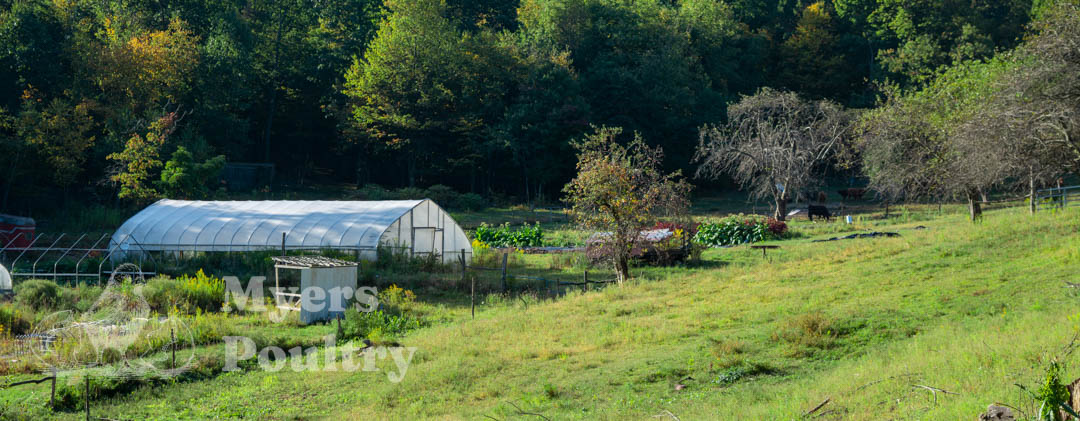 landscape of farm and greenhouse