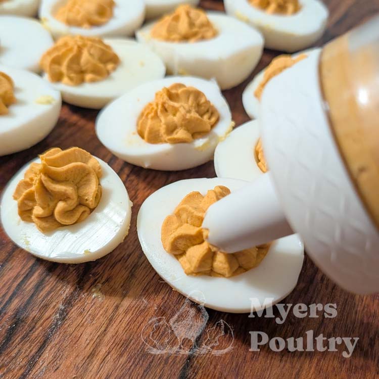 deviled eggs piping tip