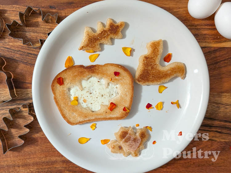 fall themed toast with marigold petals