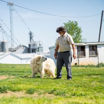 sunrise farms man and dog outside on grass