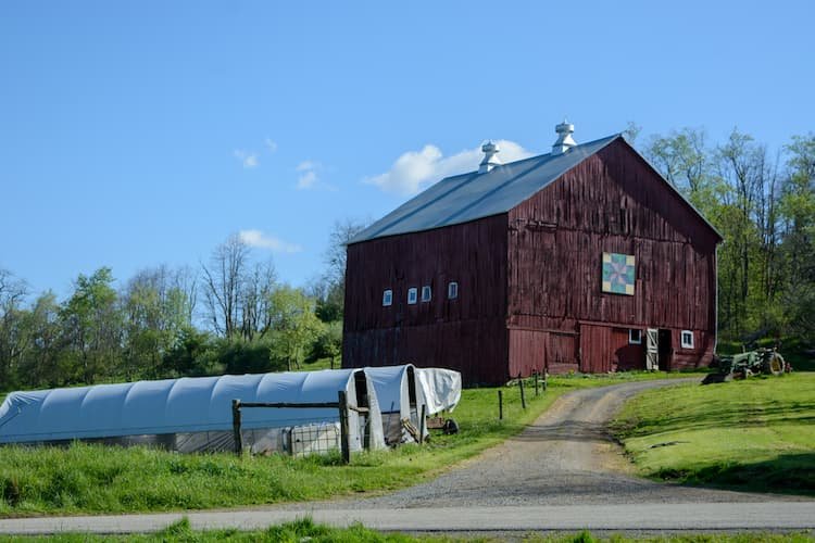 footprints farm chicken brooder and barn