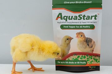How AquaStart helps Shipped Chicks and Poults