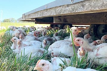 Farm Feature: Farm57