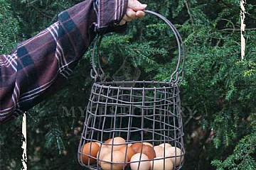 woman holding brown eggs in wire basket