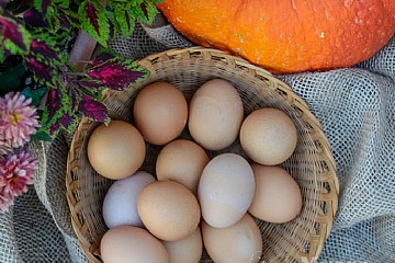 3 Cozy Fall Recipes to Try with Fresh Eggs