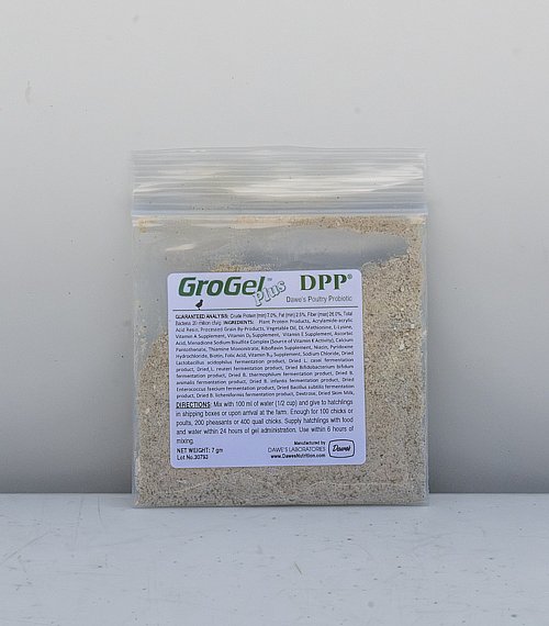 Grow Gel Plus for Chicks | Myers Poultry